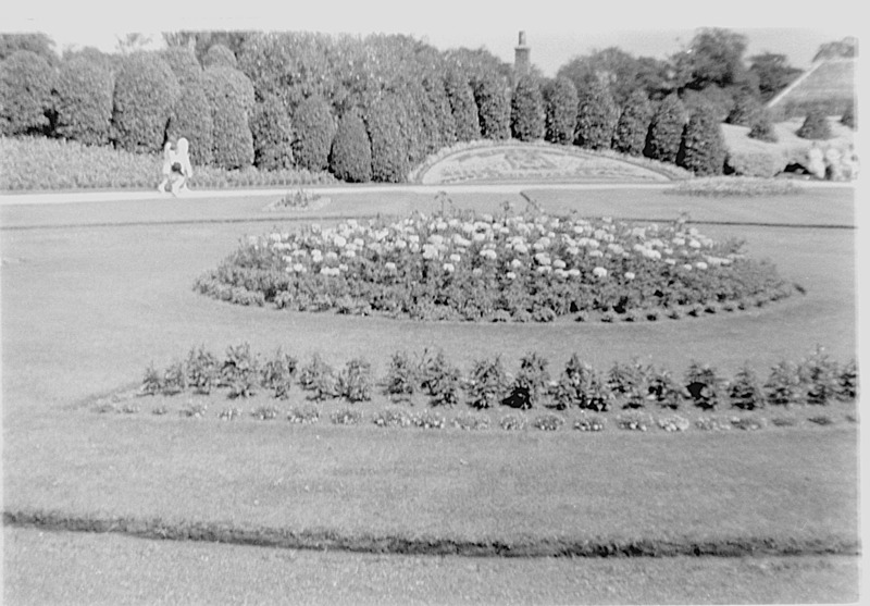 Victoria Park Or Whiteinch Park Flowerbeds, 1964. Courtesy Of Respondent Robert Tedford image