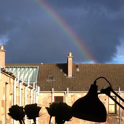 Another View From Housing Association Flat 31, 474 Duke Street, During Lockdown. Courtesy Of David A Allan image