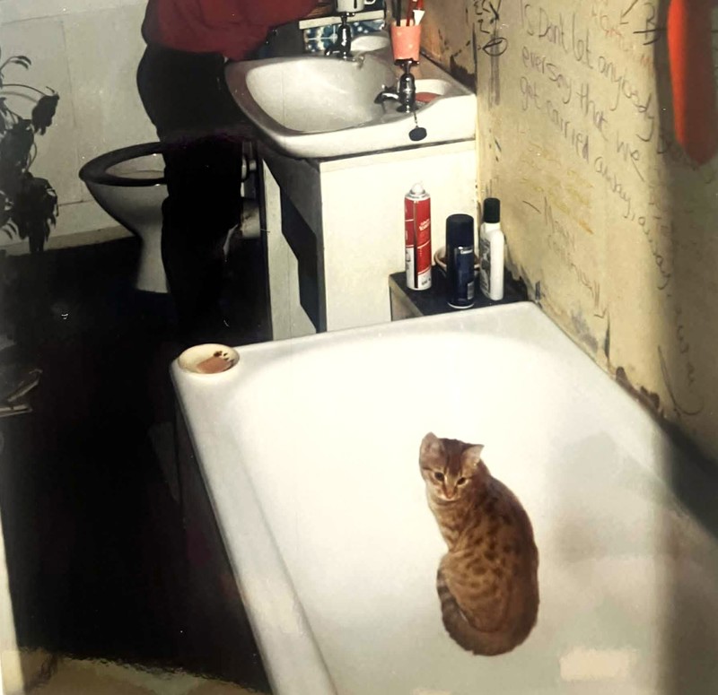 George The Cat, Elie Street, Glasgow, 1985 To 1986. Courtesy Of Respondent David A Allan image