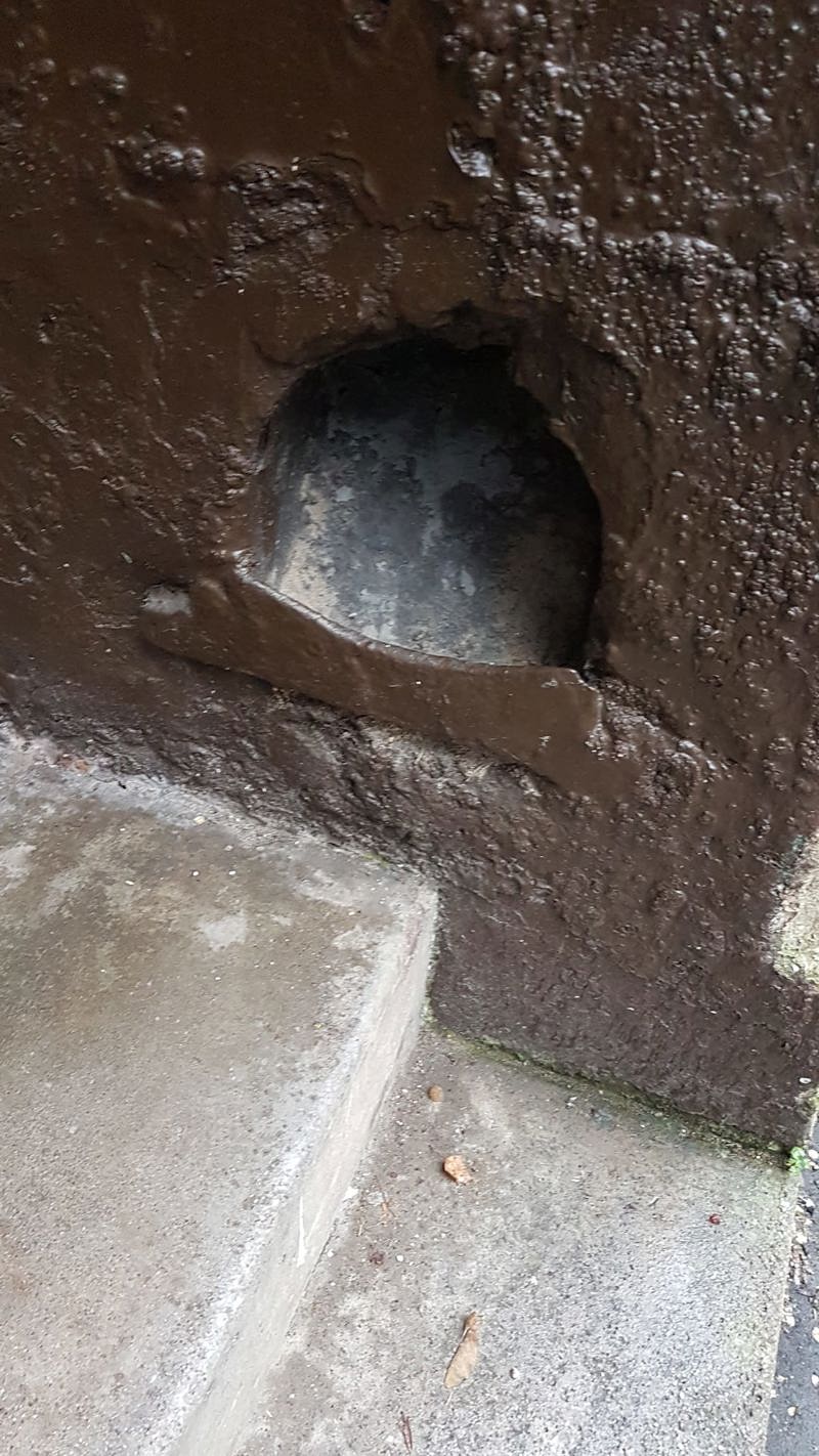 Spotted In Bathgate Street image