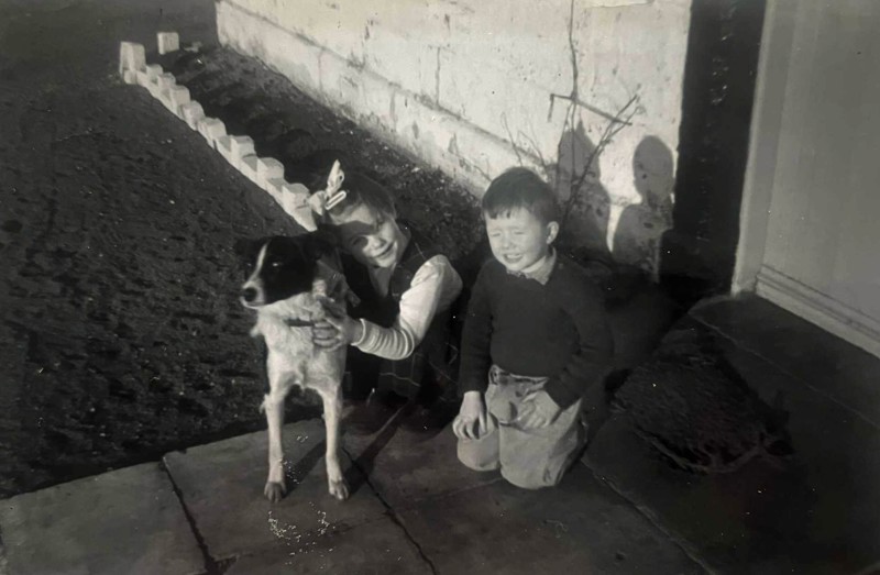 David A Allan, Respondent, Aged 3, With Sister Helen Aged 4, And Dog Gem, Outside The Long Demolished Eglington Mains Cottage, Nr Irvine, Early 1960S image
