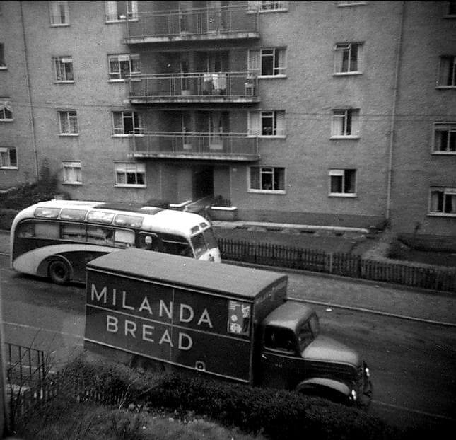 Milanda Breadvan In Castlemilk, 1960. Allan Tal image